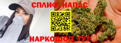 молекула духа Краснознаменск