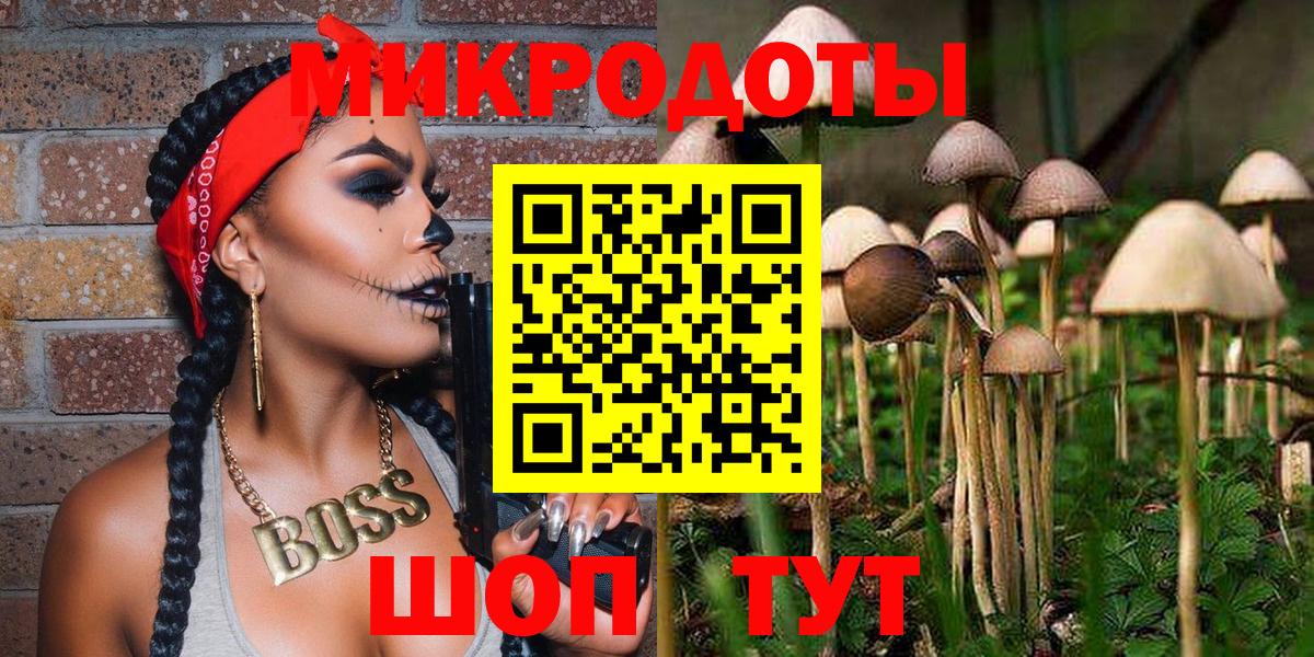 Конаково  Псилоцибиновые грибы Psilocybine cubensis  Вход с VPN 